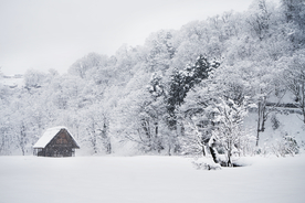 美丽的雪景