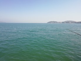 碧绿的大海