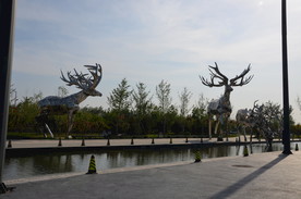 鹿  不锈钢鹿    石雕 雕