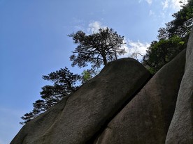 山松