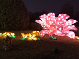 2019 灯展 灯会 花灯