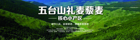 五台山藜麦banner