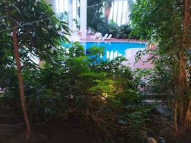 酒店