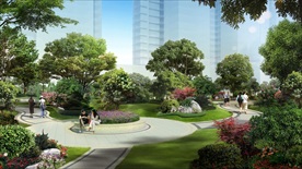 园林 景观  平台 园路 树池