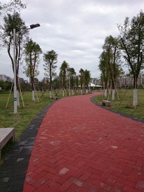 绿化小路