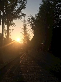 阆中古城夕阳之美