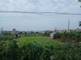 田园悠闲风光