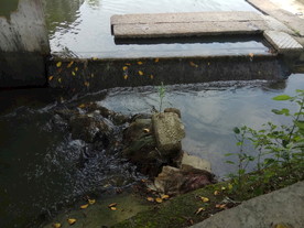 小溪流水潺潺