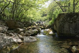 辽宁本溪老边沟景色