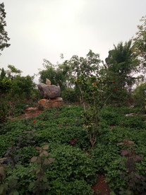 青龙山