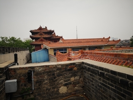 泰安 泰山 岱庙 汉柏 唐槐