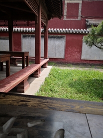 泰安 泰山 岱庙 汉柏 唐槐