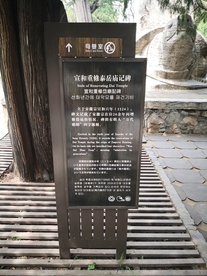 泰安 泰山 岱庙 汉柏 唐槐