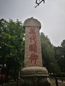 泰安 泰山 岱庙 汉柏 唐槐