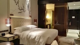 客房 酒店  酒店客房 房间