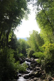 山间自然风光