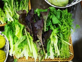蔬菜篮
