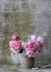 花盆