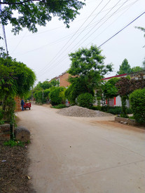 乡村街道美景