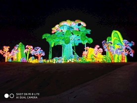 花灯