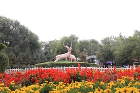 红山公园羊雕塑