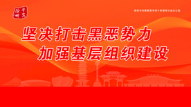 扫黑除恶