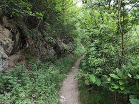 山间小路