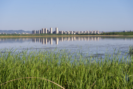 水边城市