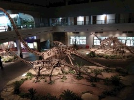 自贡恐龙 恐龙博物馆