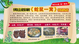 蛇鼠一窝