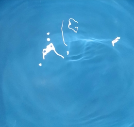 水波纹