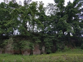 翠湖风光  山水  岳池