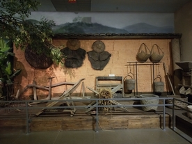 农家小院