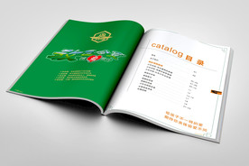 企业画册