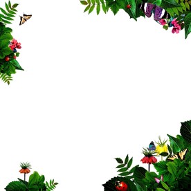 分层树叶花房地产绿化