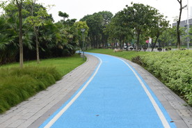 跑道 公园跑道