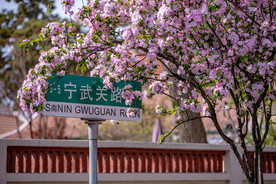 青岛八大关
