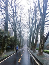 雨中风景
