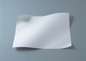 高清纸纹 宣纸 洒金宣纸 装裱