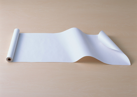 高清纸纹 宣纸 洒金宣纸 装裱