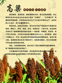 高梁图片