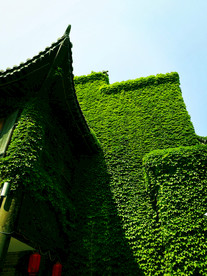 古镇建筑之美
