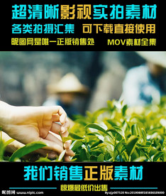 中国茶道茶文化宣传片