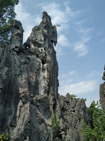 小石林