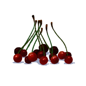 车厘子大樱桃免抠素材