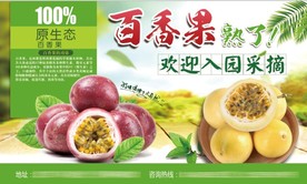 百香果