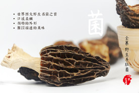羊肚菌