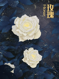 白玫瑰海报