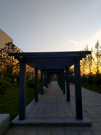 日暮下的公园美景