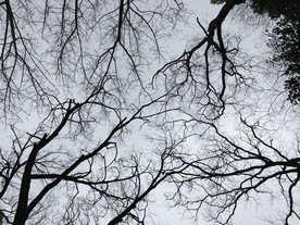 仰望天空
